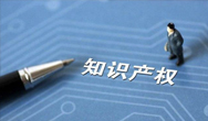 03類-日化用品類商標{dto.tmName}